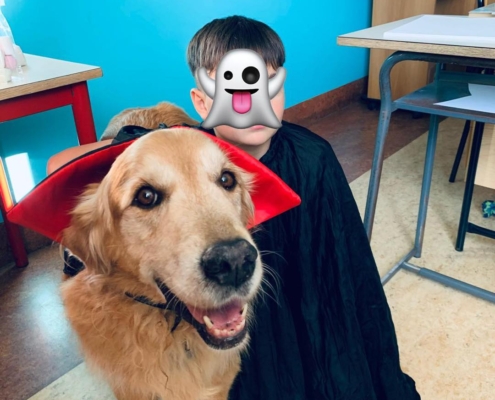 cane Halloween